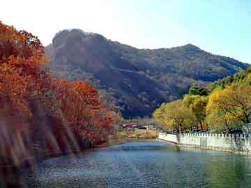 新澳天天开奖资料大全旅游团，huby棉签